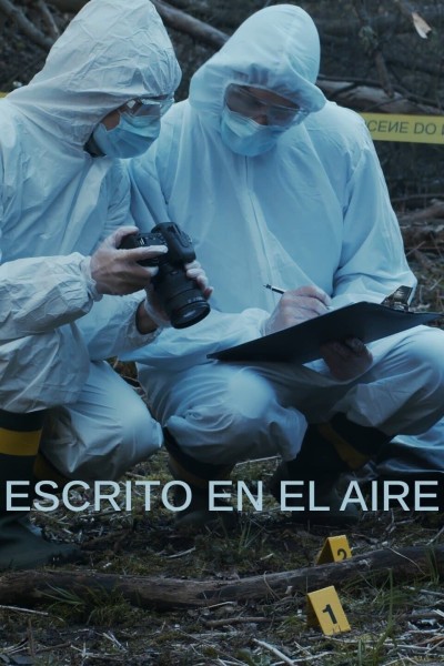 Caratula, cartel, poster o portada de Escrito en el aire