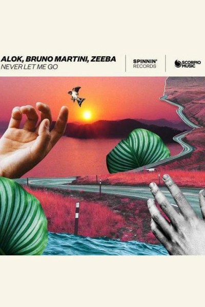 Cubierta de Alok, Bruno Martini feat. Zeeba: Never Let Me Go (Vídeo musical)