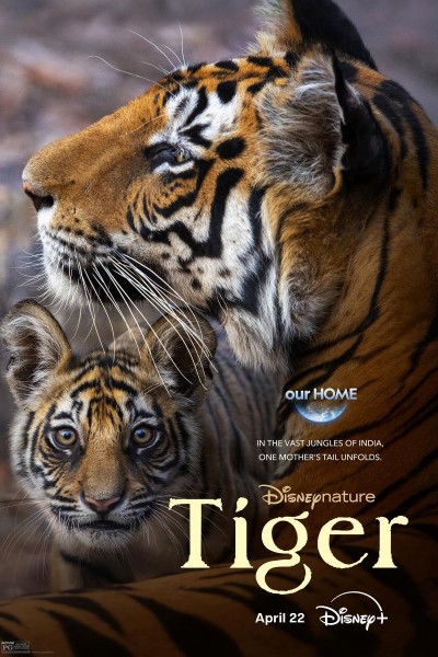 Caratula, cartel, poster o portada de Tiger
