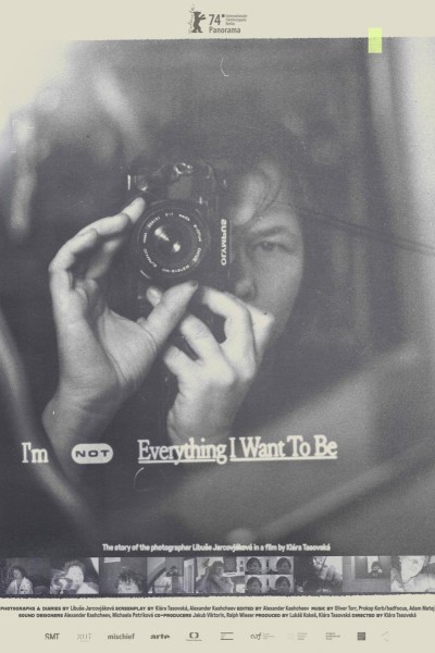 Caratula, cartel, poster o portada de I’m Not Everything I Want to Be