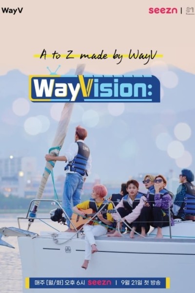 Caratula, cartel, poster o portada de WayVision