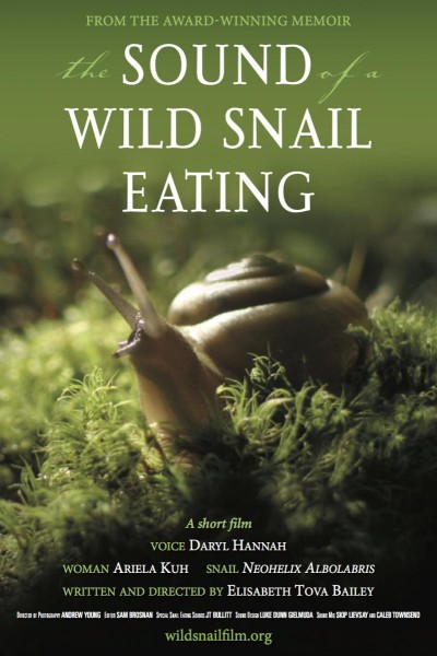 Cubierta de The Sound of a Wild Snail Eating