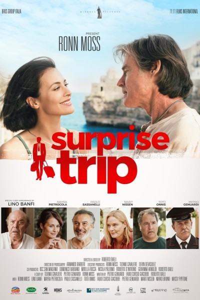 Caratula, cartel, poster o portada de Surprise Trip