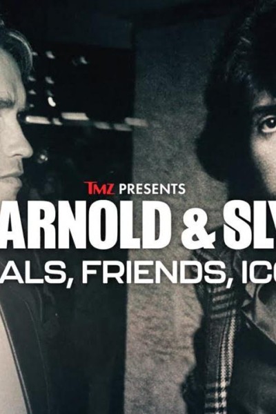 Caratula, cartel, poster o portada de Arnold & Sly: Rivals, Friends, Icons