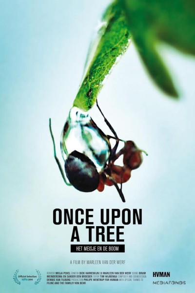 Cubierta de Once Upon a Tree