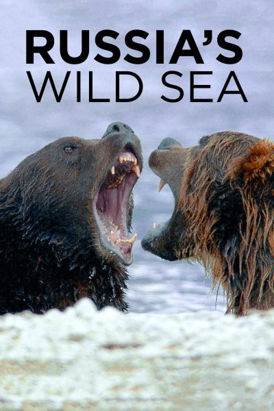 Caratula, cartel, poster o portada de El mar salvaje de Rusia