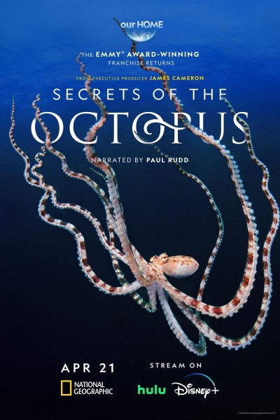 Caratula, cartel, poster o portada de Secrets of the Octopus
