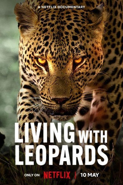 Caratula, cartel, poster o portada de La vida entre leopardos