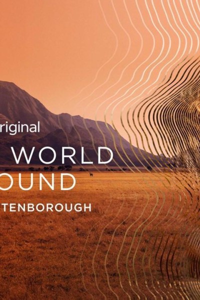 Caratula, cartel, poster o portada de Secret World of Sound with David Attenborough