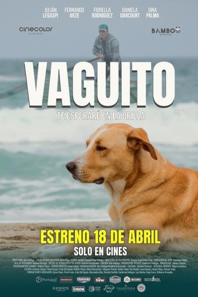 Caratula, cartel, poster o portada de Vaguito