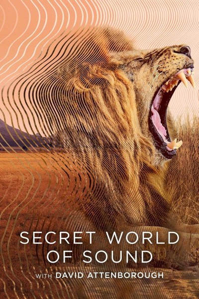 Caratula, cartel, poster o portada de El mundo secreto del sonido, con David Attenborough