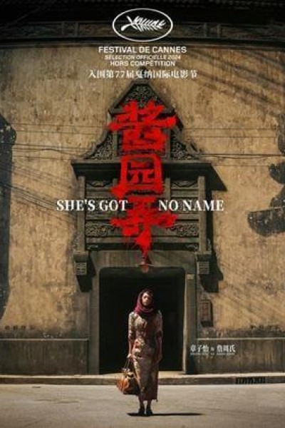 Caratula, cartel, poster o portada de She's Got No Name