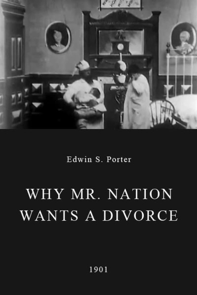 Cubierta de Why Mr. Nation Wants a Divorce