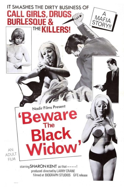 Caratula, cartel, poster o portada de Beware the Black Widow