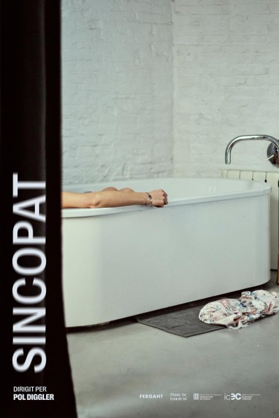 Caratula, cartel, poster o portada de Sincopat