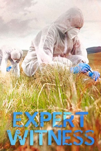 Caratula, cartel, poster o portada de Expert Witness