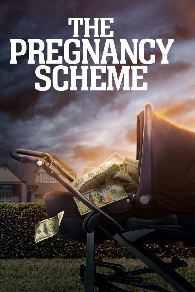 Caratula, cartel, poster o portada de The Pregnancy Scheme