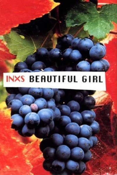 Cubierta de INXS: Beautiful Girl (Vídeo musical)