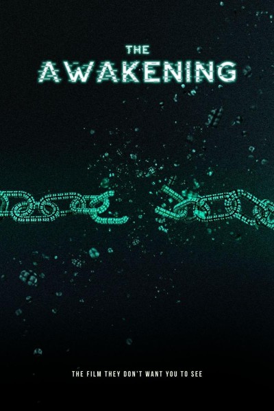 Caratula, cartel, poster o portada de The Awakening