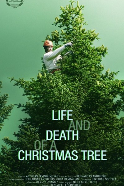 Cubierta de Life and Death of a Christmas Tree