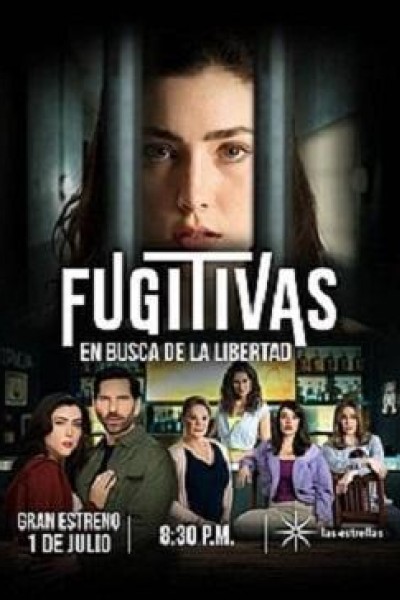 Caratula, cartel, poster o portada de Fugitivas, en busca de la libertad