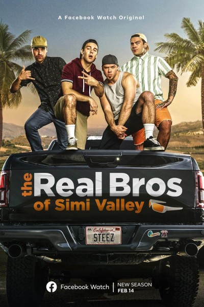 Caratula, cartel, poster o portada de The Real Bros of Simi Valley
