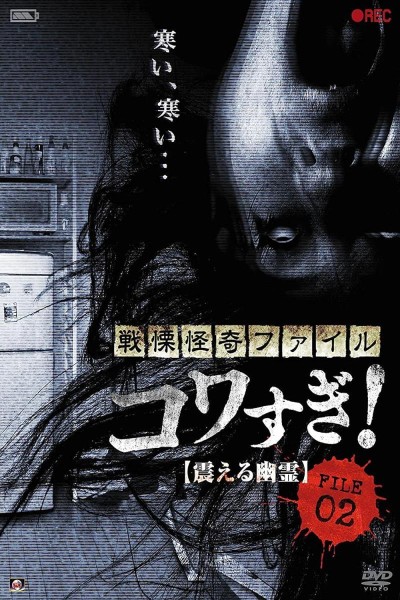Caratula, cartel, poster o portada de Senritsu Kaiki File Kowasugi File 02: Shivering Ghost