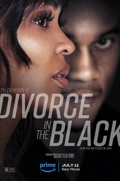 Caratula, cartel, poster o portada de Tyler Perry\'s Divorce in the Black