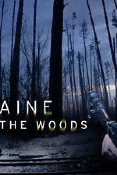 Caratula, cartel, poster o portada de Ukraine: Enemy in the Woods