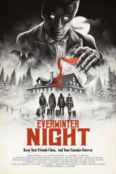 Caratula, cartel, poster o portada de Everwinter Night