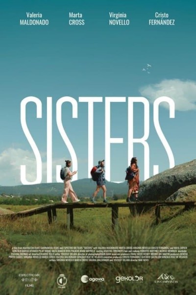Caratula, cartel, poster o portada de Sisters