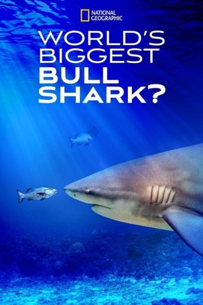 Caratula, cartel, poster o portada de World's Biggest Bull Shark?