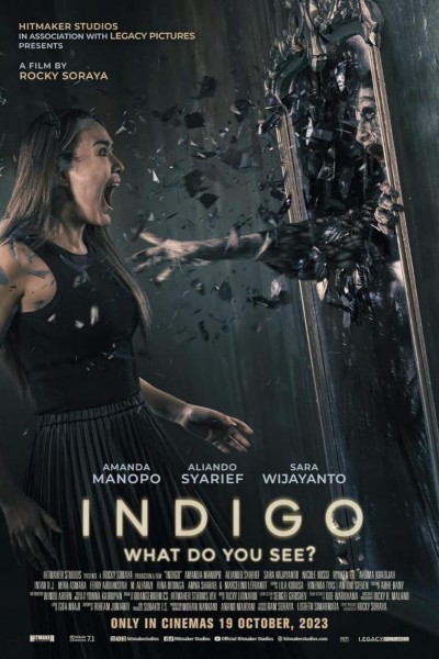 Caratula, cartel, poster o portada de Indigo