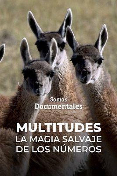 Cubierta de Multitudes: la magia salvaje de los números