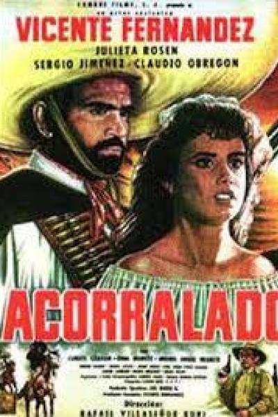 Caratula, cartel, poster o portada de Acorralado