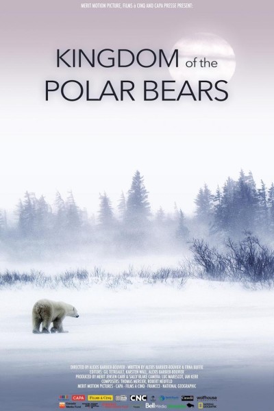 Caratula, cartel, poster o portada de El reino del oso polar