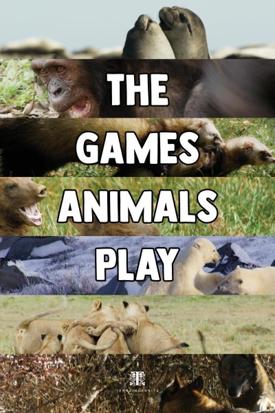 Cubierta de Juegos de animales