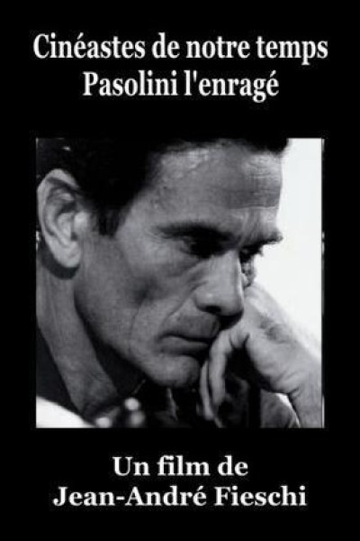 Cubierta de Pasolini l\'enragé