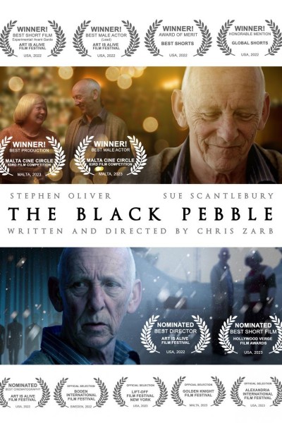 Cubierta de The Black Pebble