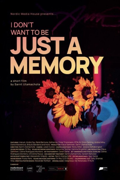 Caratula, cartel, poster o portada de I Don\'t Want to Be Just A Memory