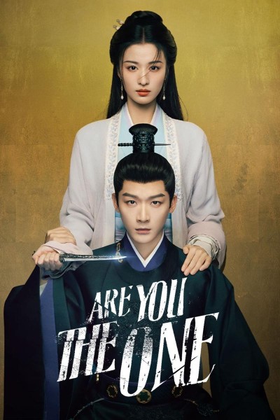 Caratula, cartel, poster o portada de Are You the One