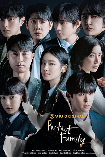 Caratula, cartel, poster o portada de Perfect Family