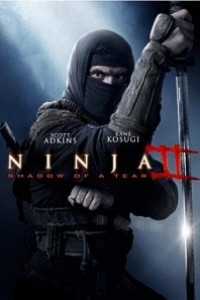 Caratula, cartel, poster o portada de Ninja II: La sombra de la muerte