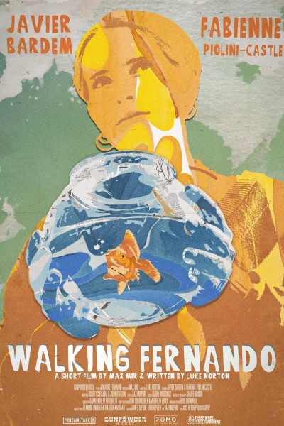 Caratula, cartel, poster o portada de Walking Fernando