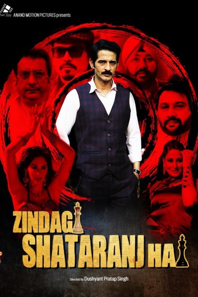 Caratula, cartel, poster o portada de Zindagi Shatranj Hai