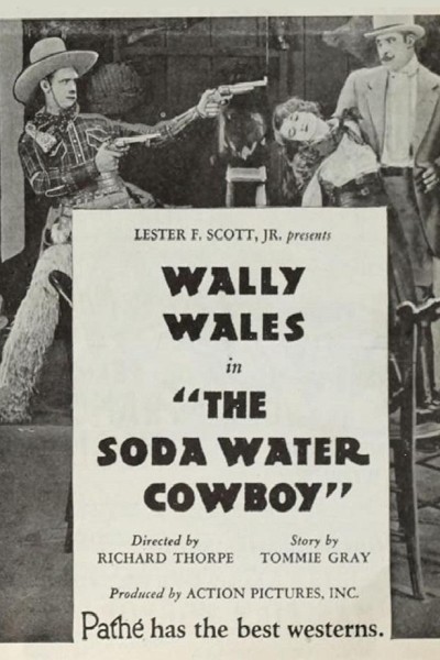 Cubierta de The Soda Water Cowboy