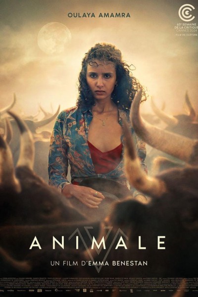 Caratula, cartel, poster o portada de Animale