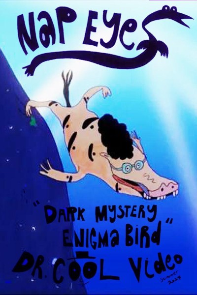 Cubierta de Nap Eyes: Dark Mystery Enigma Bird