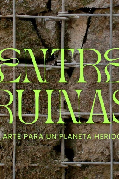 Cubierta de Entre ruinas: Arte para un planeta herido