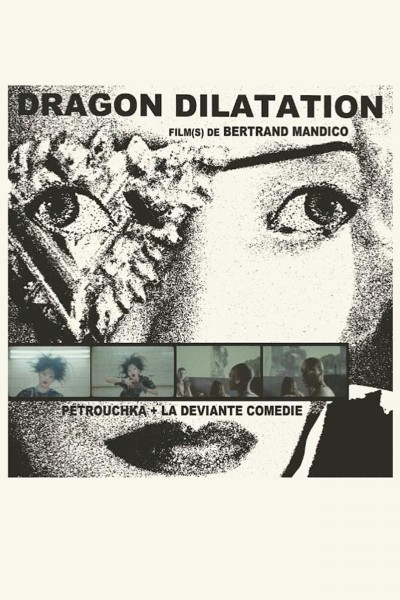 Caratula, cartel, poster o portada de Dragon Dilatation